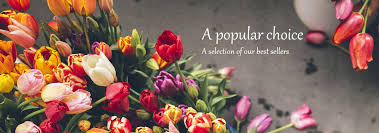 Check spelling or type a new query. How Can I Send Flowers To Delhi Flowerportal