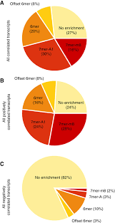 Pie Charts Showing The Distribution Of Seed Enrichment For