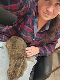 Coping with loss of beloved pet