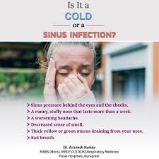 Is It Cold Or A Sinus Infection In 2020 Nose Infection Sinusitis Sinus Infection
