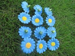 Jual kain kanvas bunga matahari biru dengan harga rp19.500 dari toko online satu_kanvas, kota bandung. 500 Pieces Bunga Sutra Rumah Langit Biru Warna Bunga Matahari Kecil Dekorasi Pernikahan Bunga Wedding Decoration Flower Decorative Flowerssunflower Wedding Aliexpress