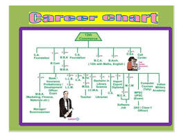 m ed guidance counselling i assignment career chart