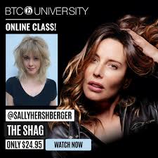 The sally hershberger haircuts prices vary from location to location and also based on the length of the hair and the starting price for a haircut is $150. The Sally Shag 11 Tips For Cutting Your Best Shag Behindthechair Com