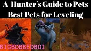 Shadowlands and patch 9.0 introduces almost 300 new and unique pet appearances leveling, questing, and torghast. A Hunter S Guide To Pets Best Pets For Leveling Wow Classic Tutorial Youtube