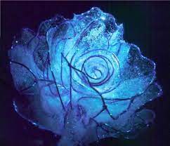 Lodear Moonflower Lune Blue Crystal Rose Moon Flower Crystal Rose Blue Crystals
