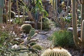 Here are some tips on how to create a low maintenance garden. 34 Sharp Cactus Garden Ideas Home Stratosphere