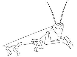 Biting off the head or legs of her mate and. Praying Mantis Coloring Sheet For Adults And Kids Instant Download Colouring Sheet Bug Coloring Page Bug Art Praying Mantis Art Art Collectibles Drawing Illustration Dongduongland Com Vn