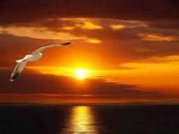 Lirik senja nan merah oleh ziana zain. Senja Nan Merah Wahyu Os Chords Chordify