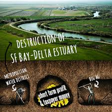 Save The Delta Stop The Tunnels