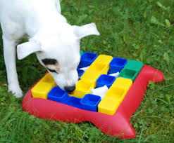 This toy is designed to activate a dog's brain, giving your pooch a fun and tasty job to do. Fabulous Dog Toys From Global Pet Expo Petguide