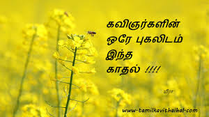 tamil kadhal kavithai kavingar pugalidam kavithaigal hd wallpaper download lines love proposal girl feelings love proposal places to visit love failure tamil kadhal kavithai kavingar