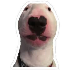 Walter The Dog Sticker Dog Stickers Face Stickers Dog Memes