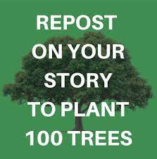 For Every Person Who Repost This Picture We Will Plant One Hundred Trees Click On The Paper Plane Next To The Comment Button Paper Plane Repost Story