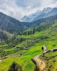 8 Days Fairy Meadows Astore Minimerg
