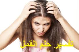 تفسير حلم القمل ودلالته لابن سيرين في المنام تفسير الاحلام ابن سيرين