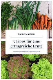 Ihr Wollt Auch Frisches Gemuse Aus Dem Eigenen Garten Ernten Hier Sind Unsere Tipps Fur Eine Ertragreiche Gemuseer Garten Ideen Gemuse Gemuseanbau Gartentipps