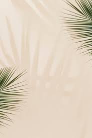 Maybe you would like to learn more about one of these? Free Photo Fresh Palm Leaves On Beige Background