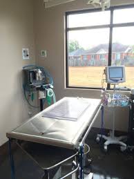 Pet hospitals in madison provides instant monitoring and thorough exam of your pet and provide pain relieving and pain managing medication. Virtual Tour The Pet Hospital Of Madison Madison Al