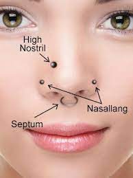 Nose Pins Rings Nose Piercing Piercing Body Piercing