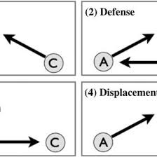 Pdf An Implausible Model And Evolutionary Explanation Of The Revenge Motive