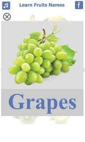 صور للخضروات بصلمع كتابة الاسم عربي وانجليزي بحث google fruit names grapes fruit