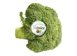 Image result for z p%u0159ednice jedovat 