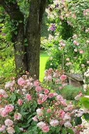 We use biological methods of soil management to grow the healthiest possible product. 64 Garten Ideen Rosa Ideen Pflanzen Rosa Garten Garten