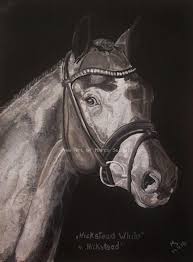 High flyer mit high flyer dürfen wir einen wunderschönen junghengst von hickstead white aus einer. Hickstead White New Art Of Marco Seidel