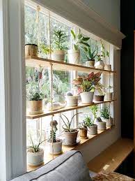 Full sun is wah the plant wants. Hanging Plant Shelves The Artful Roost
