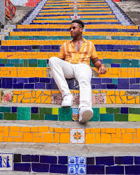 Image result for Selago dinteri