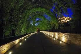 Top 40 Best Driveway Lighting Ideas Landscaping Designs In 2020 Driveway Lighting Landscape Design Driveway Landscaping