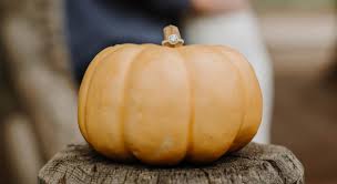 Maria Leanos and Sean Muret's Wedding Website