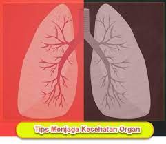 Cara Menjaga Kesehatan Organ Dan Sistem Pernapasan Http Www Sitampan Com Cara Menjaga Kesehatan Organ Dan Sistem Pernapasan Gambar Poster Tips