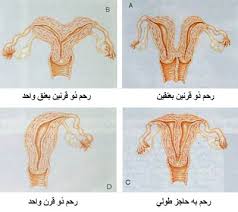وفي الوقت نفسه أنتِ لم تدخلي بعد إلى مرحلة الثقل والضغط الحركي. Ù†Ø¸Ø§Ù… ØºØ°Ø§Ø¦ÙŠ Ù„ØªÙƒÙŠØ³ Ø§Ù„Ù…Ø¨Ø§ÙŠØ¶ Ø¹Ø§Ù„Ù… Ø­ÙˆØ§Ø¡ Ø§Ø¹Ø±Ø§Ø¶ ØªÙƒÙŠØ³ Ø§Ù„Ù…Ø¨Ø§ÙŠØ¶ Ù„Ù„Ù…ØªØ²ÙˆØ¬Ø§Øª Ø¹Ø§Ù„Ù… Ø­ÙˆØ§Ø¡