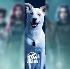 Using a free online math game, students explore operations (addition, subtraction, multiplication, and division) as well as algebra and basic algebraic concepts. Film Tv Krypto On Titans Dccomics