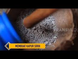 Dan hal ini bisa di sebabkan makanan yang telah di konsumsi terdapat tambahan kapur sirih di dalamnya. Membuat Kapur Sirih Bocah Petualang Youtube