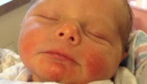 Oswego County TodayCarter Ellis