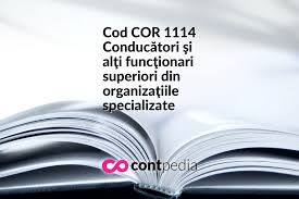 Fisa evaluare riscuri consilier juridic. Cod Cor 1112 InalÅ£i ConducÄƒtori Ai AdministraÅ£iei Publice