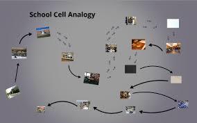Check spelling or type a new query. School Cell Analogy By Nicholas Kletzli