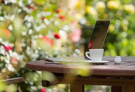 Vous économiserez ainsi les frais de port, 6.90€, et pourrez en profiter pour visiter nos serres, qui abritent le plus grand choix de bulbes à fleurs et de plantes de jardin en france. Pourquoi Acheter Ses Plantes Sur Une Jardinerie En Ligne Gamm Vert