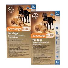 Advantage Multi For Dogs