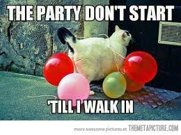Party Cat Is In The House Bones Funny Lol Funny