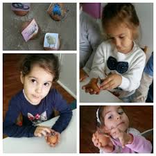 Gems Yumurtalar 5 Yas Yumurtadan Cikan Hayvanlar Hayvanlar Yastiklar Bilgi