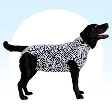 All png clipart pictures with transparent background are high quality, easy to use. Mps Medical Pet Shirt Dog Medical Pet Shirts