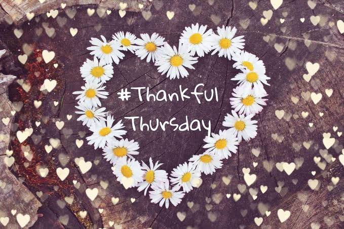 Happy Thankful Thursday Dear Friends 🌿