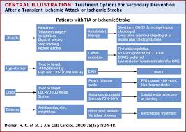 A stroke is a medical emergency. Primary And Secondary Prevention Of Ischemic Stroke And Cerebral Hemorrhage Jacc Focus Seminar Sciencedirect