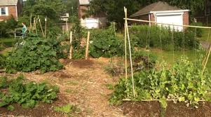 Maybe you would like to learn more about one of these? Fertilizing 101 Not As Complicated As You Think Morning Ag Clips