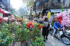 Exploring the vibrant Tet flower markets of Hanoi in 2020