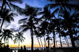 Glosbe uses cookies to ensure you get the best experience. 15 Hawaiian Greetings Phrases And Customs That Will Impress Your Shipmates