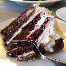 Cappuccino mini chocolate cake piece. Oma S Best German Cakes Kuchen Torten